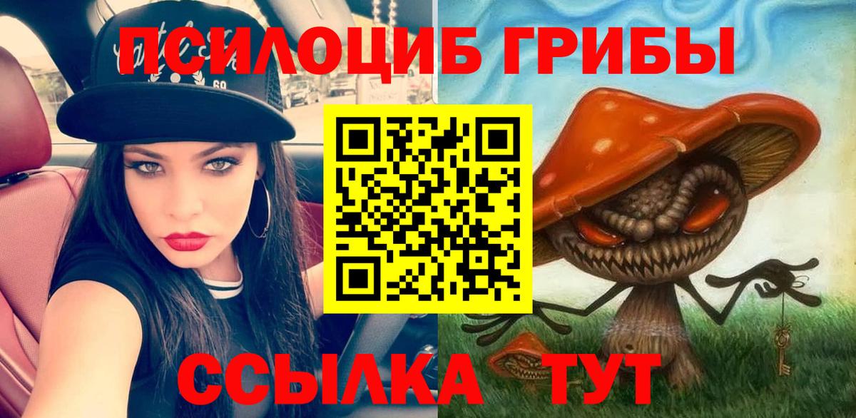 Галлюциногенные грибы Psilocybine cubensis  Галлюциногенные грибы Magic Shrooms  Обнинск  Вход с VPN 